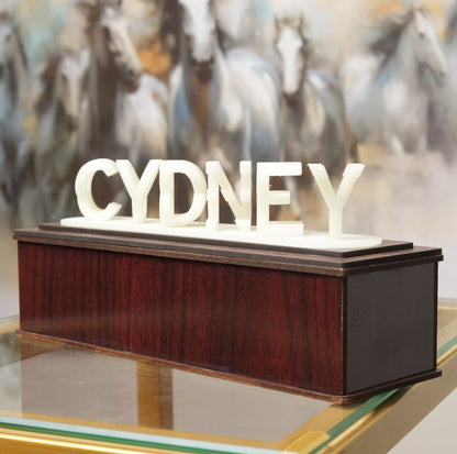 Luminous Dual Name Illusion Love 3d Printed Gift.