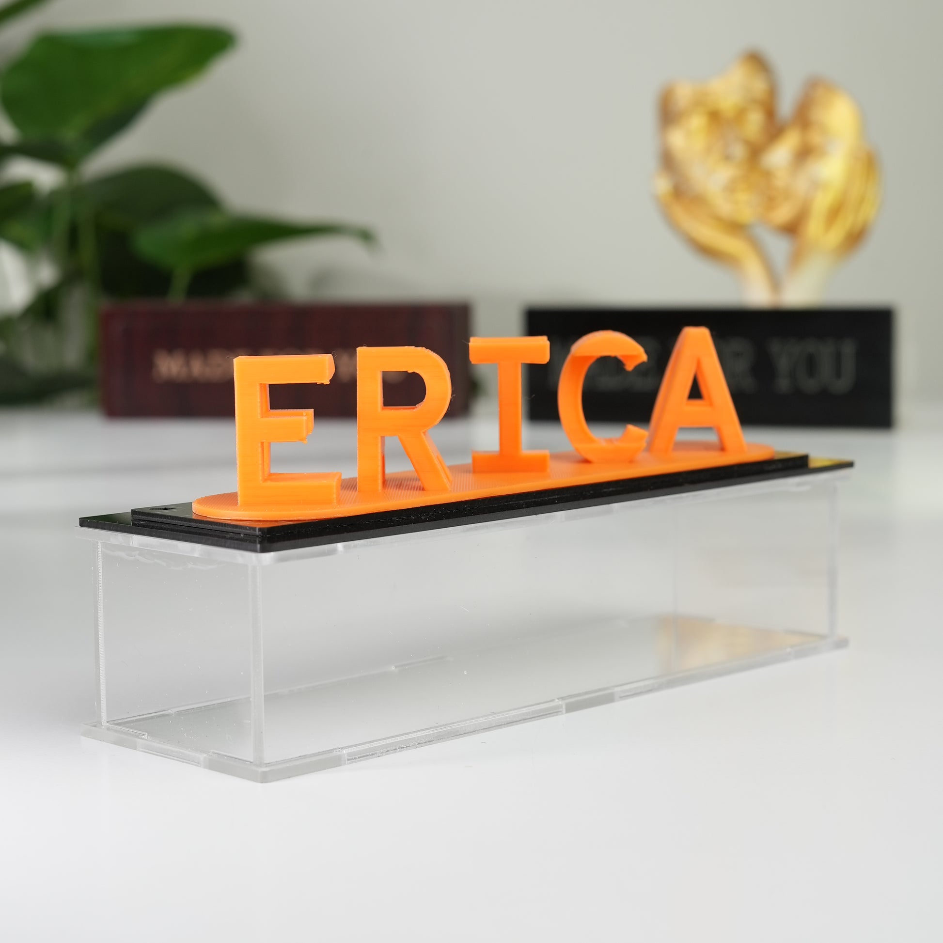 Custom name 3D printed illusion