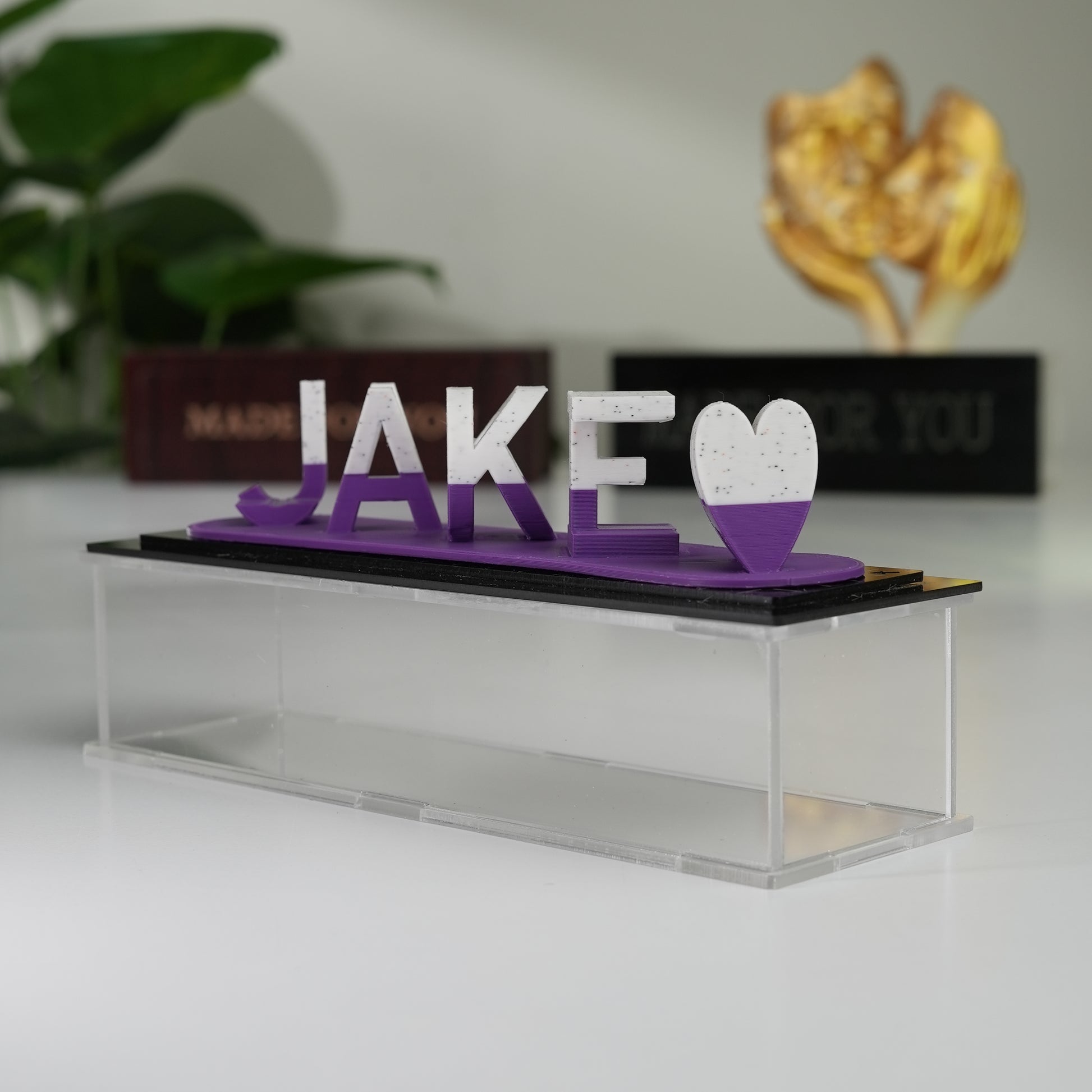Dual name illusion lamp anniversary gift